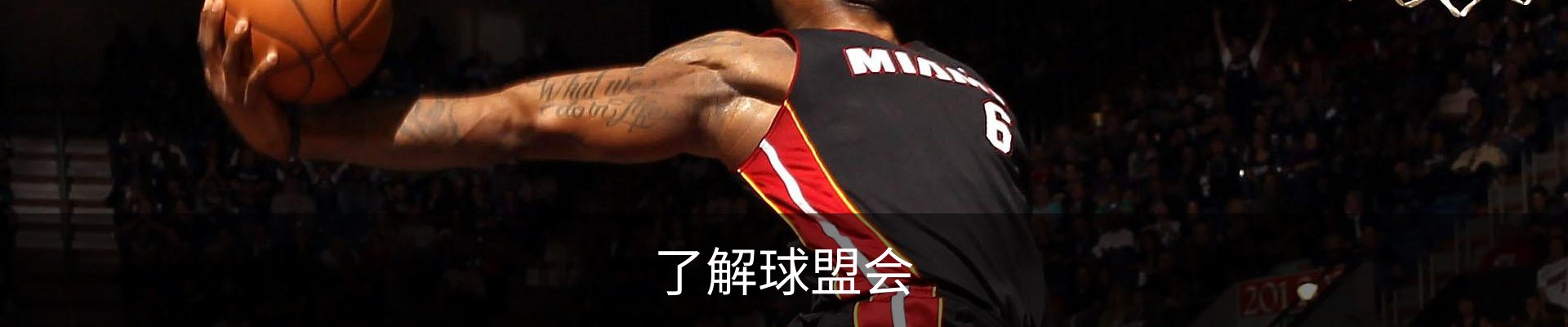 了解球盟会